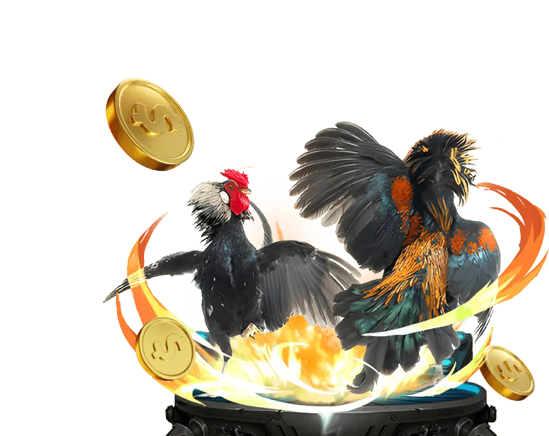 Cá cược Thể Thao tại nohu666 app